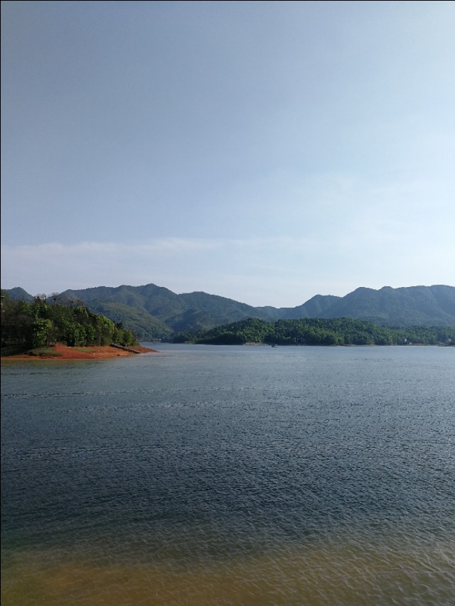 庚子律诗100首,庚子杂咏时间