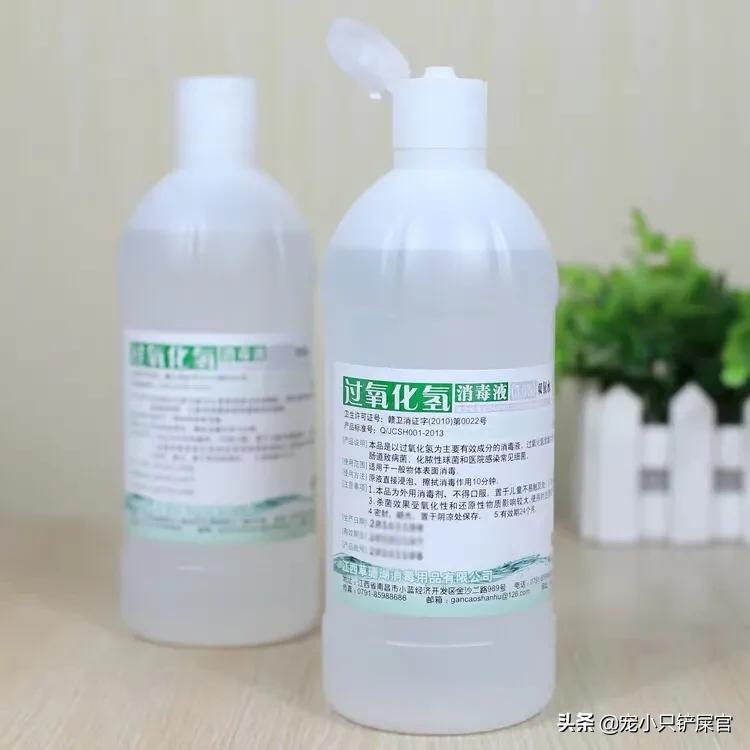 猫咪的下巴脏怎么处理,猫咪的下巴怎么清洁