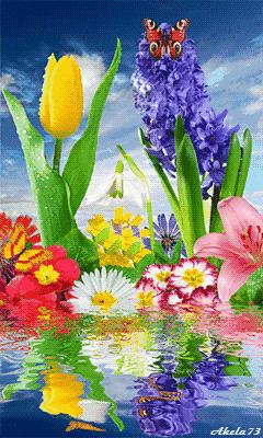 老年三字经经典语录,最新老年三字经全文