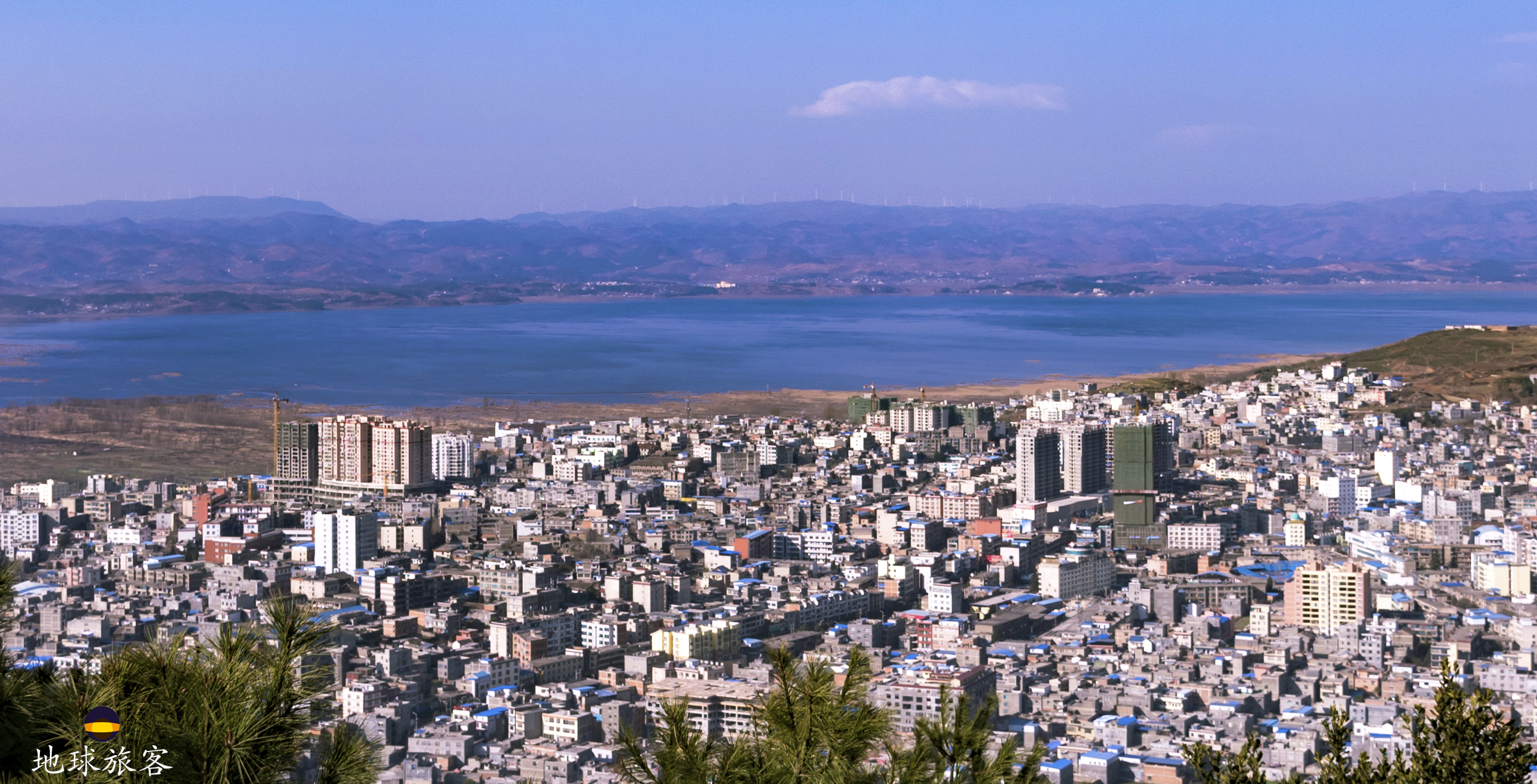 威宁草海的候鸟飞来了吗,贵州威宁草海所有候鸟照片