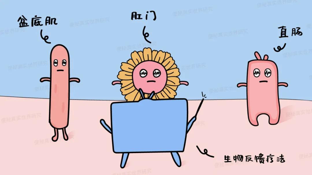 生物反馈治疗便秘要几个疗程,便秘生物反馈治疗是什么