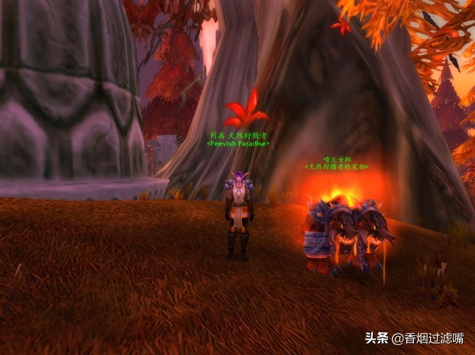 魔兽世界怀旧服猎人玩什么种族,魔兽世界怀旧服猎人手法详解