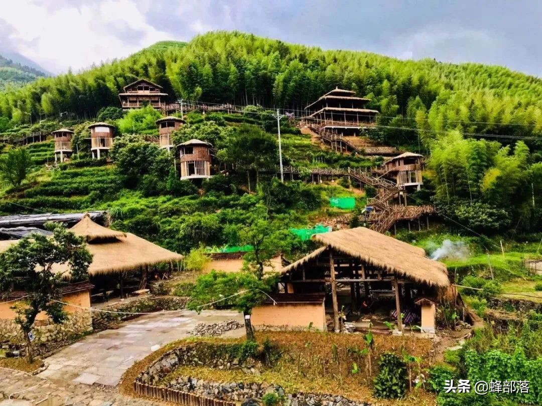 2021农村投资什么行业前景好,2019农村创业好项目投资小利润大