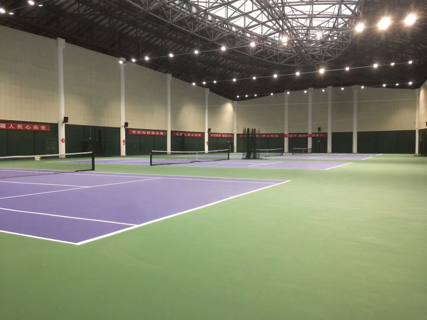 郑赛赛夺冠视频,郑赛赛夺冠视频全集