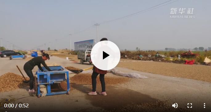 高端媒体看磁县,高端媒体看邢台新华社