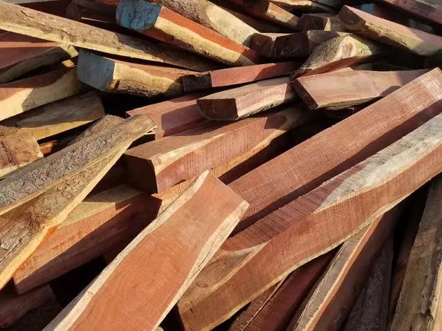 红木血檀最新消息,血檀带出去丢人吗