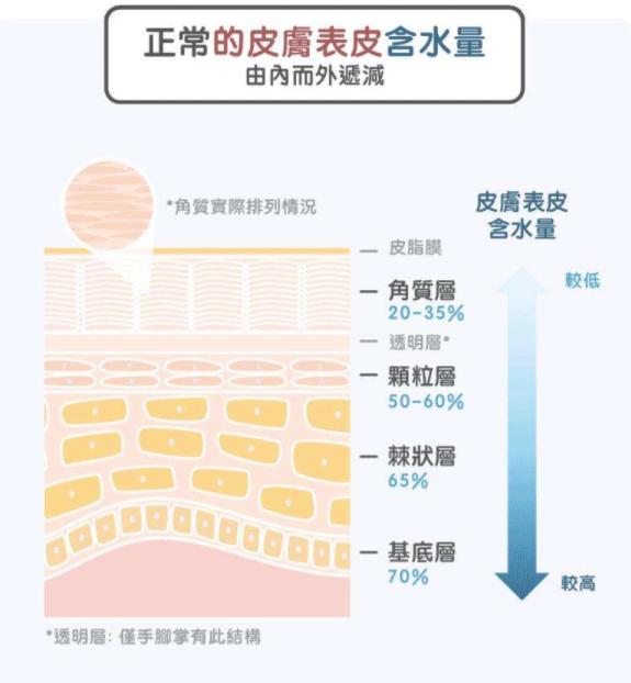 外油内干的皮肤需要怎样补水,皮肤干到掉皮如何快速补水