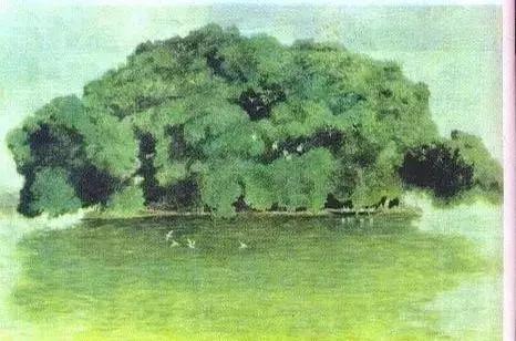 童年语文课本,80后的童年回忆之语文课本