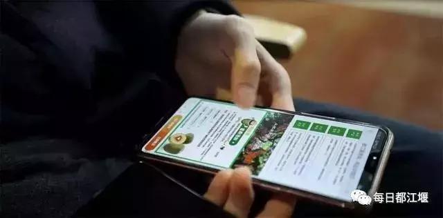 壮丽70年·奋斗新时代｜农村电商让都江堰农旅产品“香”起来！