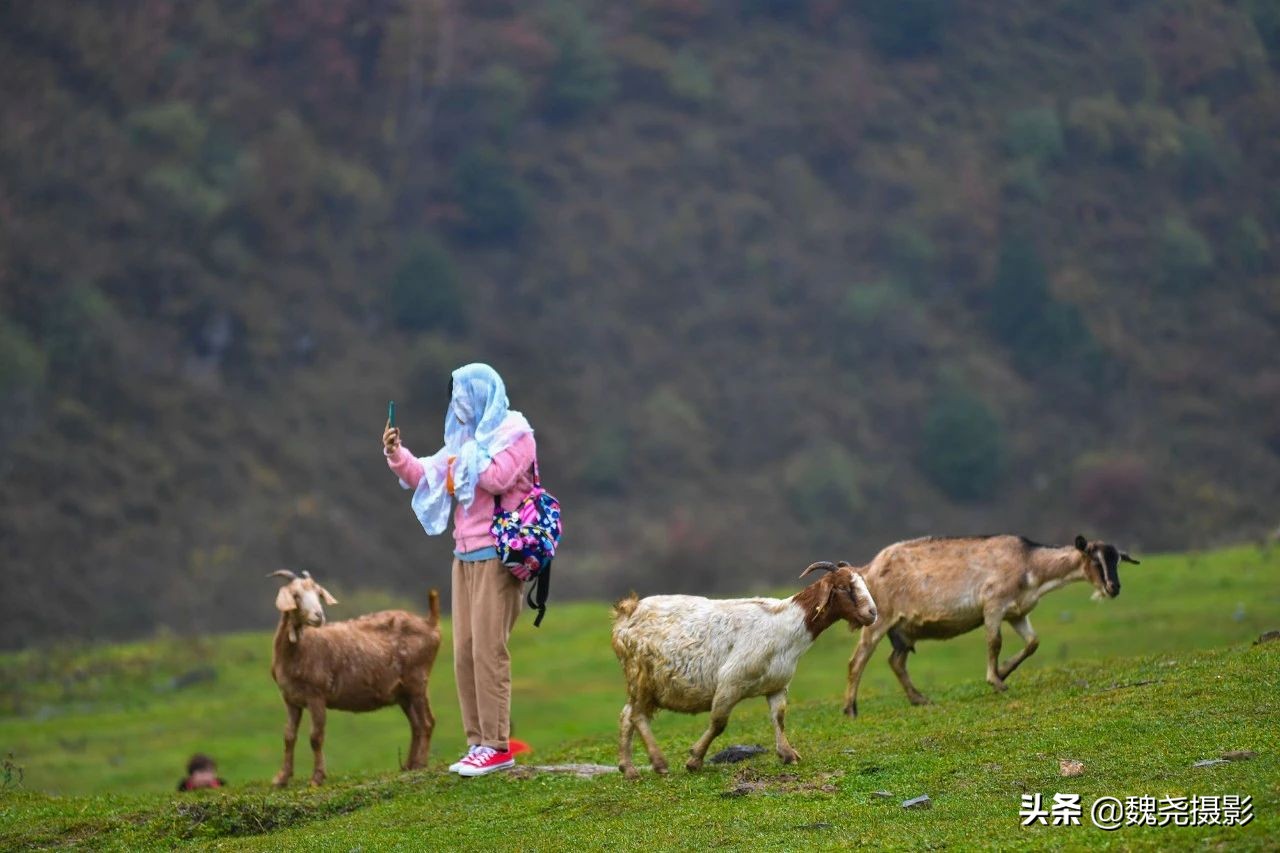 留坝秦岭之夜,留坝秦岭森林公园