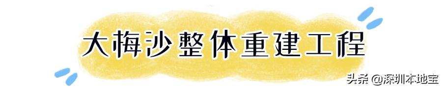 深圳市盐田区综合发展规划,深圳改革开放40周年盐田发展规划