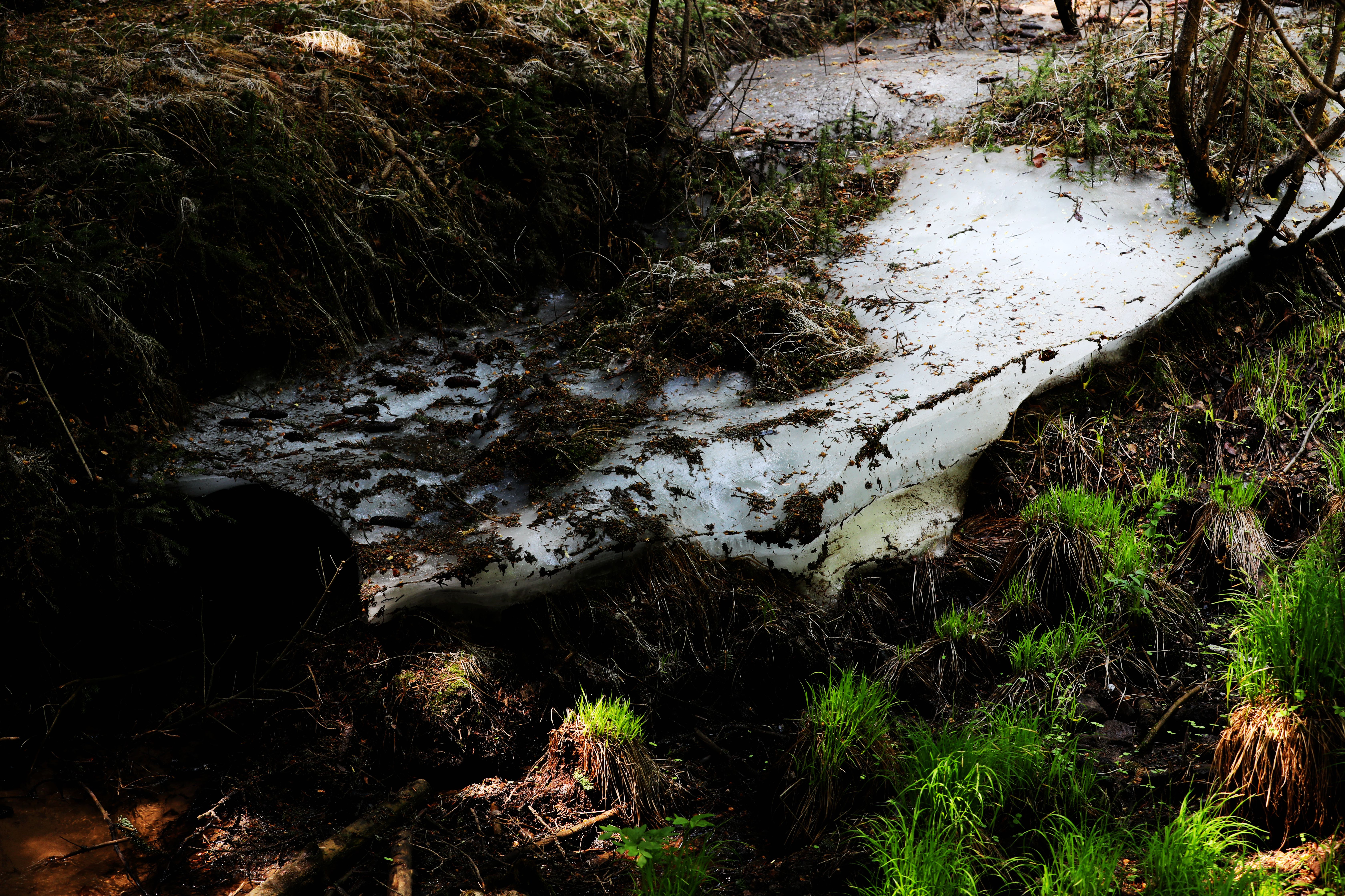 京北第一天路最佳旅游时间,京北第一天路草原