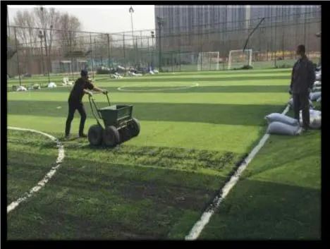 免填充人造草坪的前景,人造草坪威腾