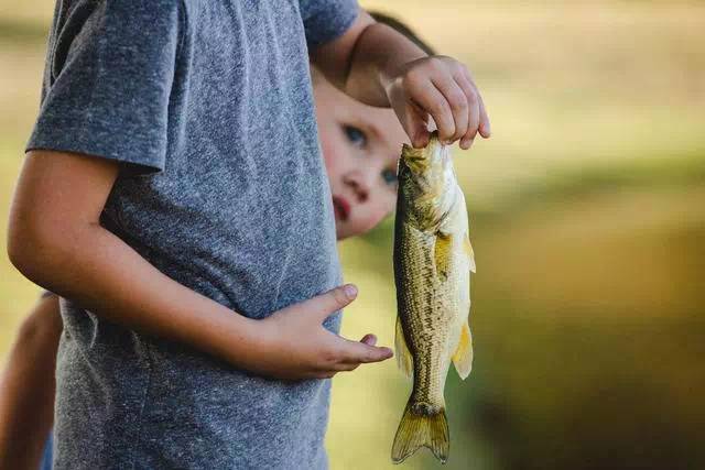 摄影怎么样才能拍出优美的画面,摄影入门轻松拍出好照片