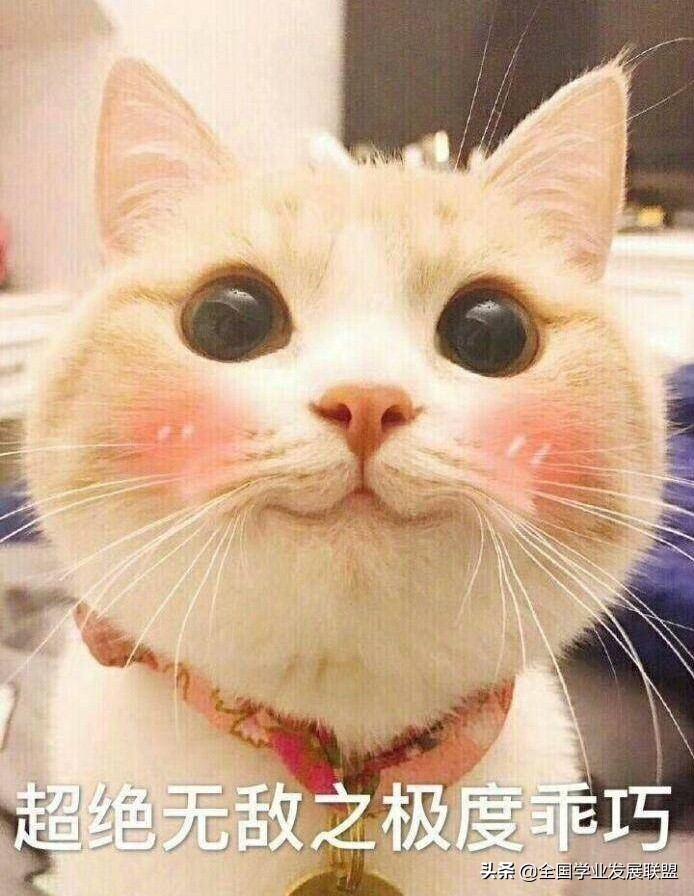 金融学就业前景怎么样,金融学职业前景介绍