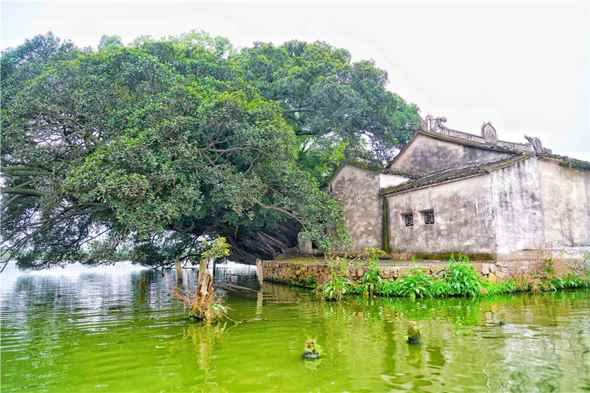 江南水乡旅游攻略四天三晚,温州旅行攻略四天三夜