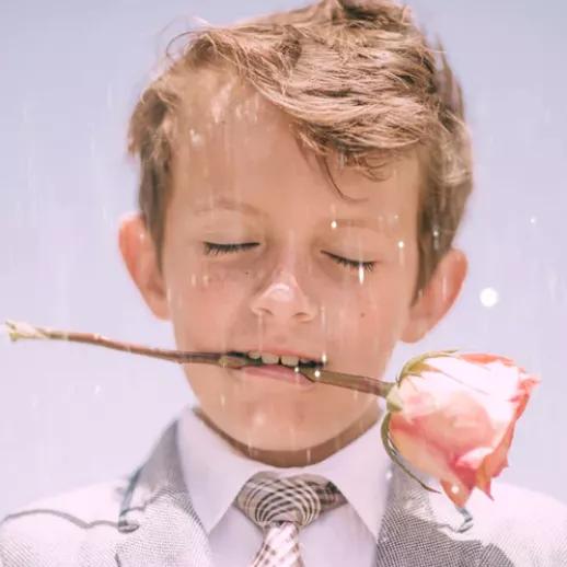 关于豢养宠物的那些事,关于饲养宠物的相关法律