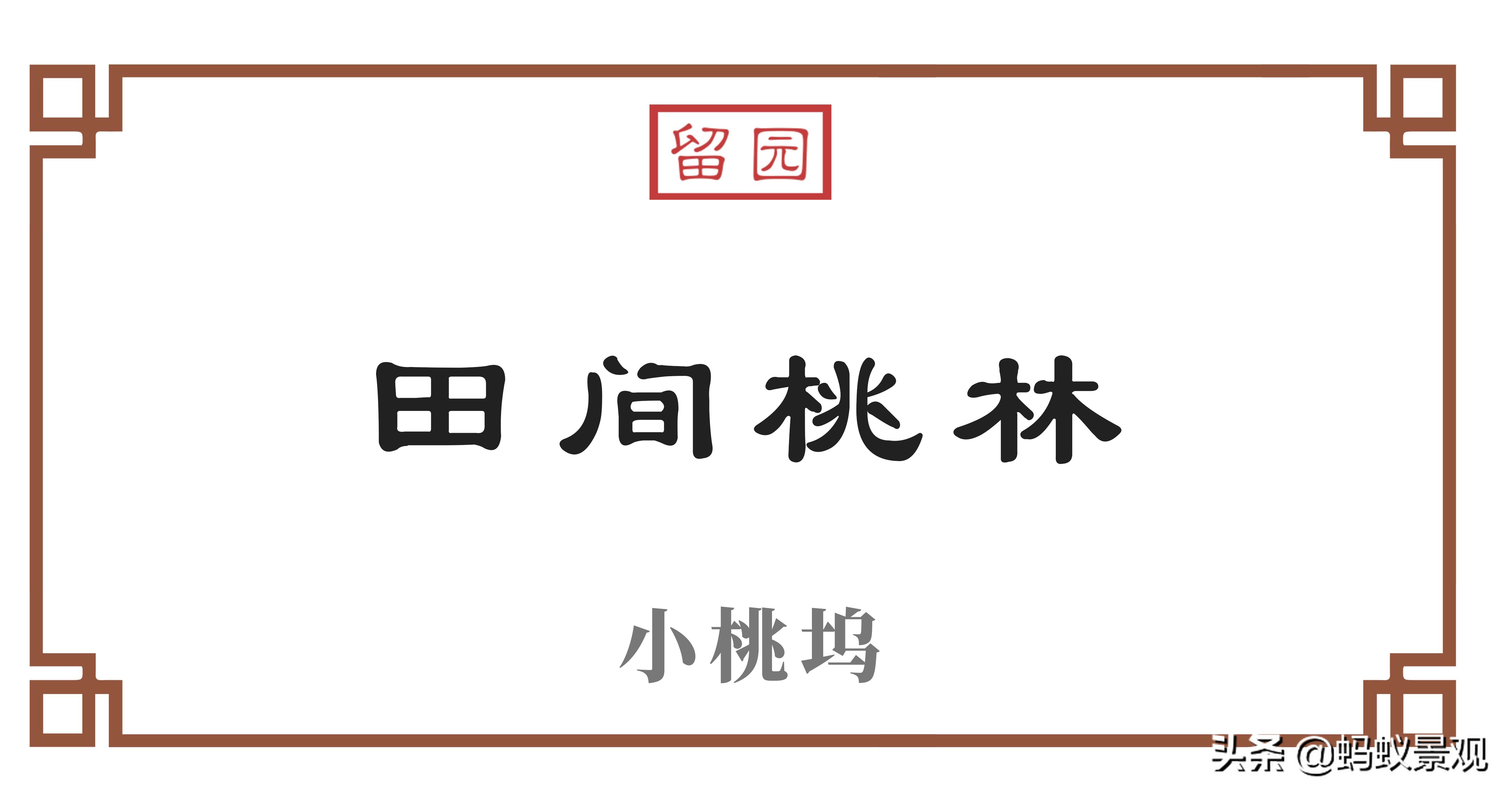 留园建筑布局照片,留园建筑景观内容
