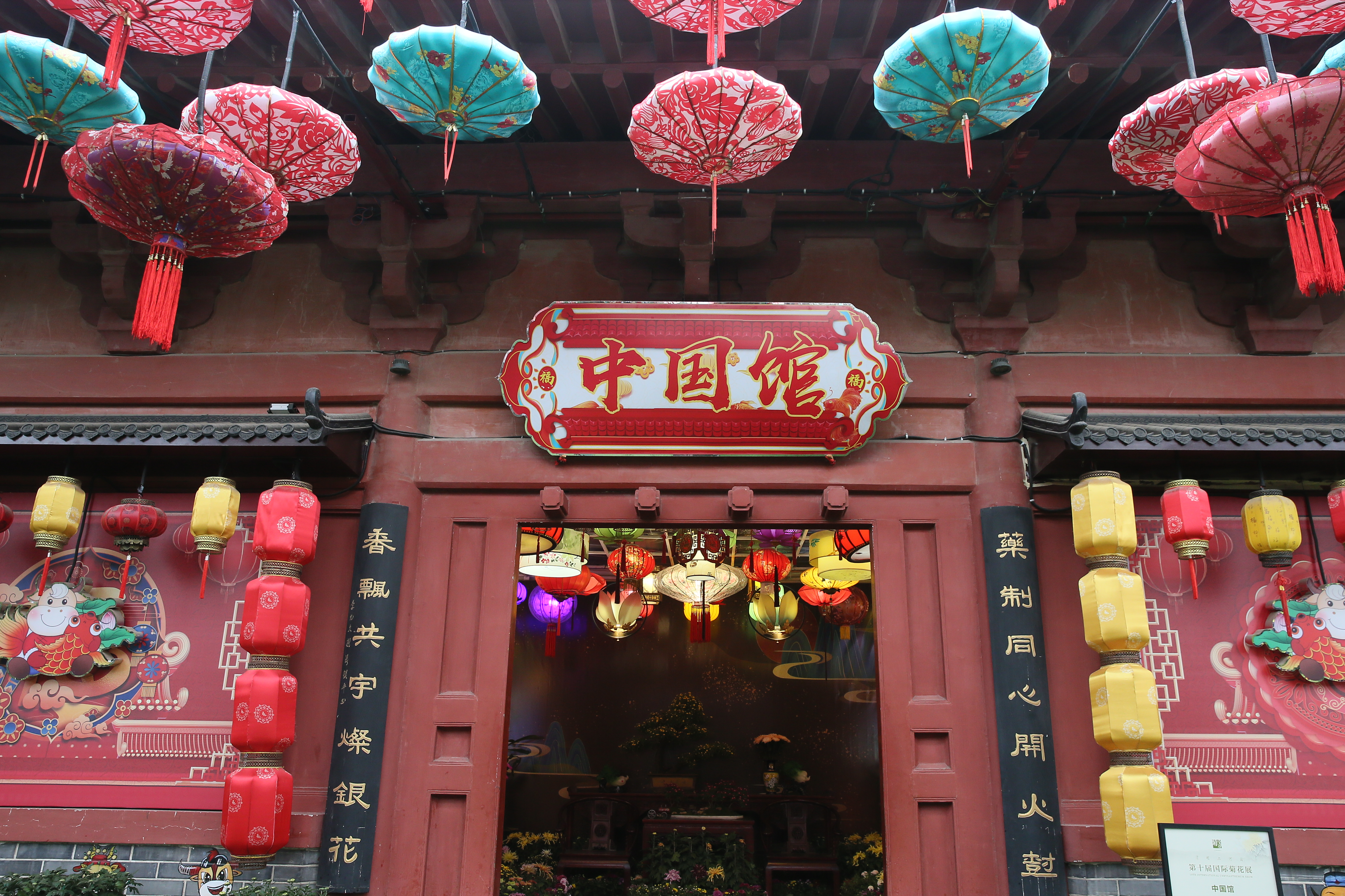 带你看开封清明上河园的菊花展,开封第41届菊花文化节清明上河园