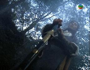 8090年代港剧最巅峰的时代,请回答1992港剧辉煌