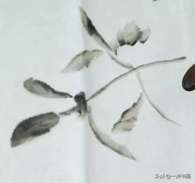 王绣写意牡丹画法步骤,王兮然写意牡丹画法视频大全