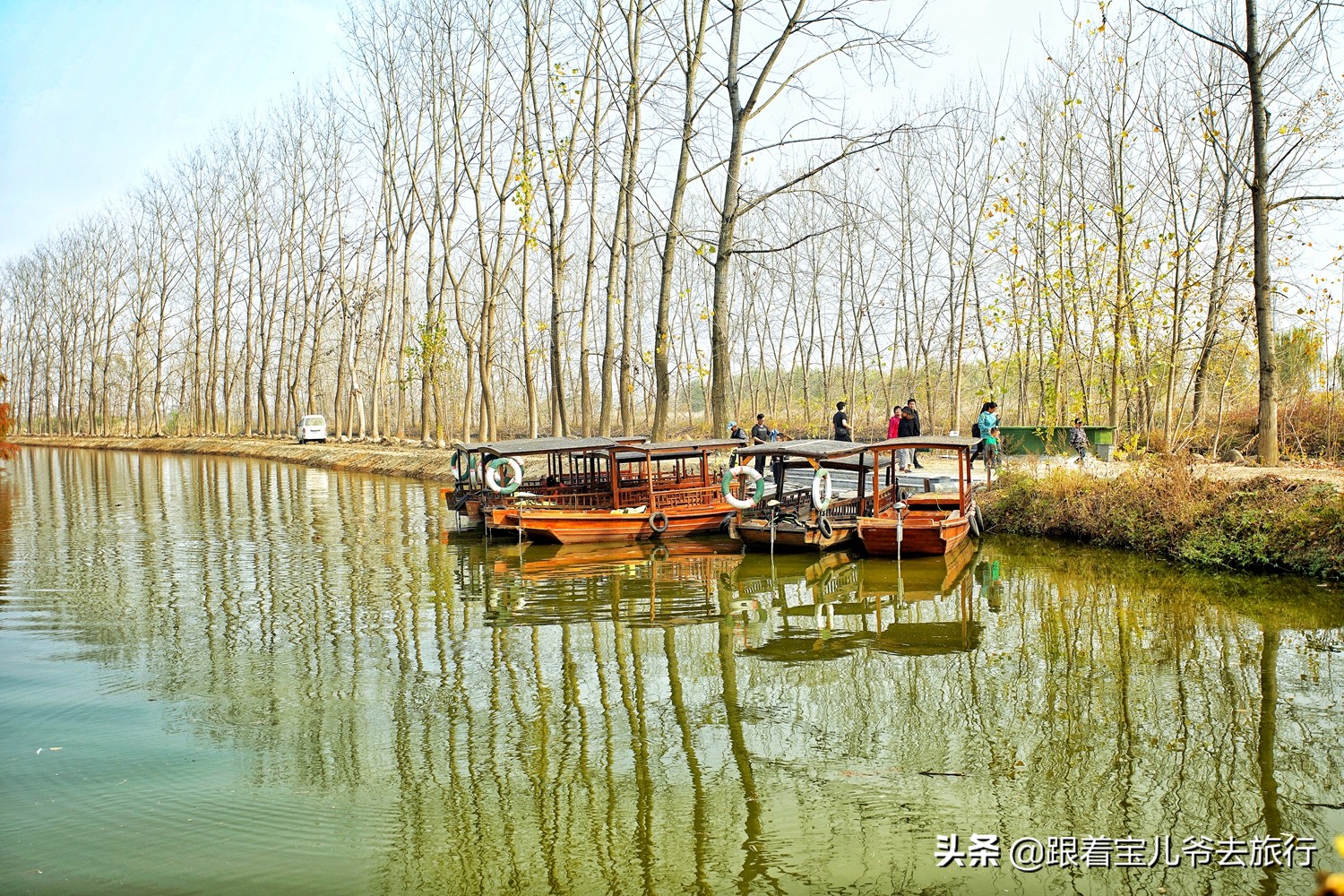 南京燕雀湖水杉林,南京秋天水杉林