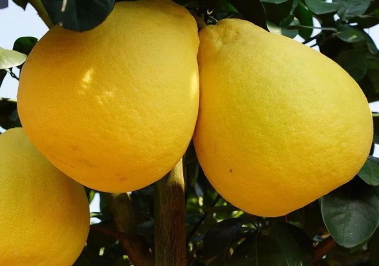 泸州市合江县优美风景,合江县最好小镇