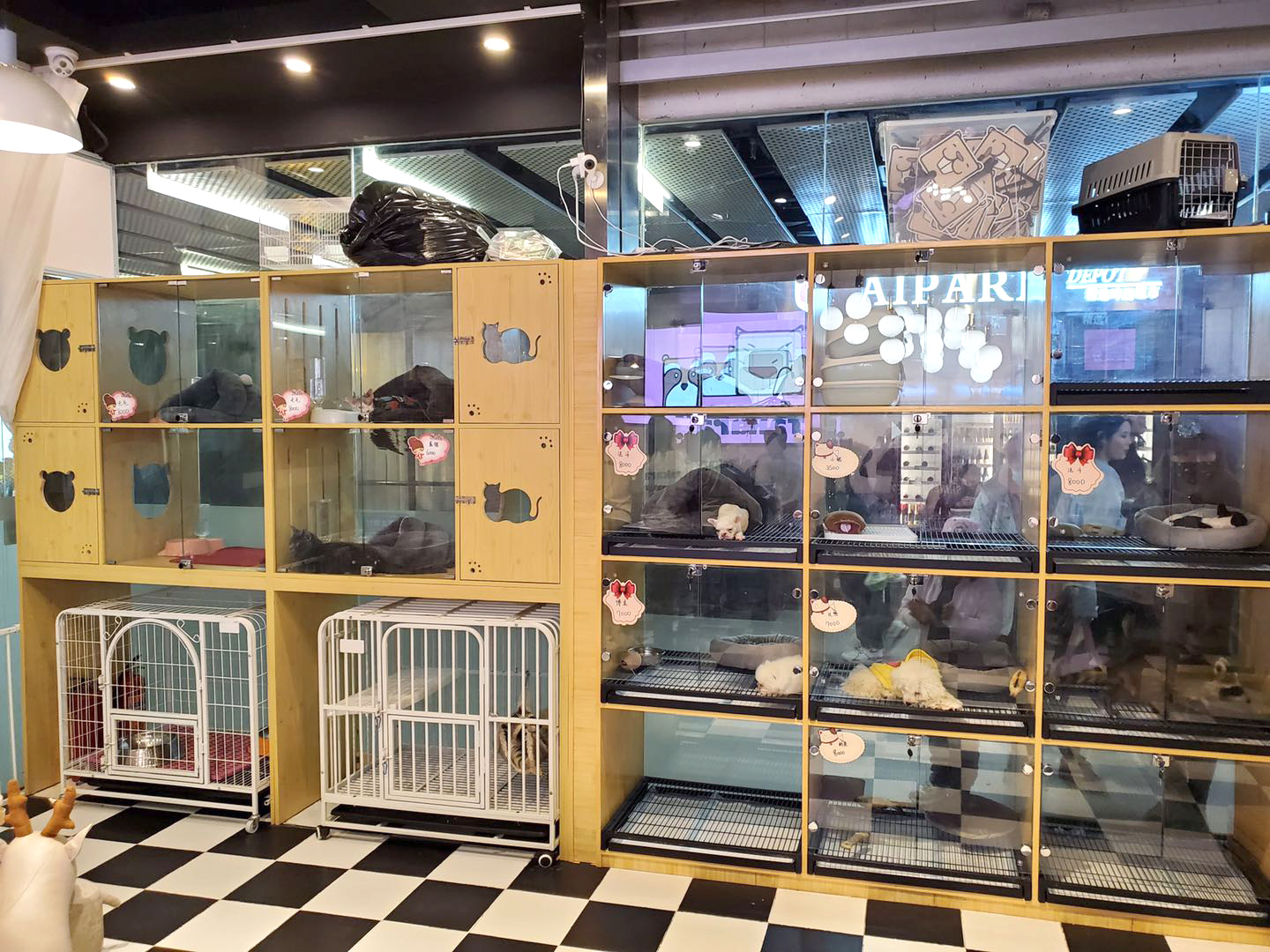 撸动物的网红店顺德,撸小动物的网红店北京世纪金源