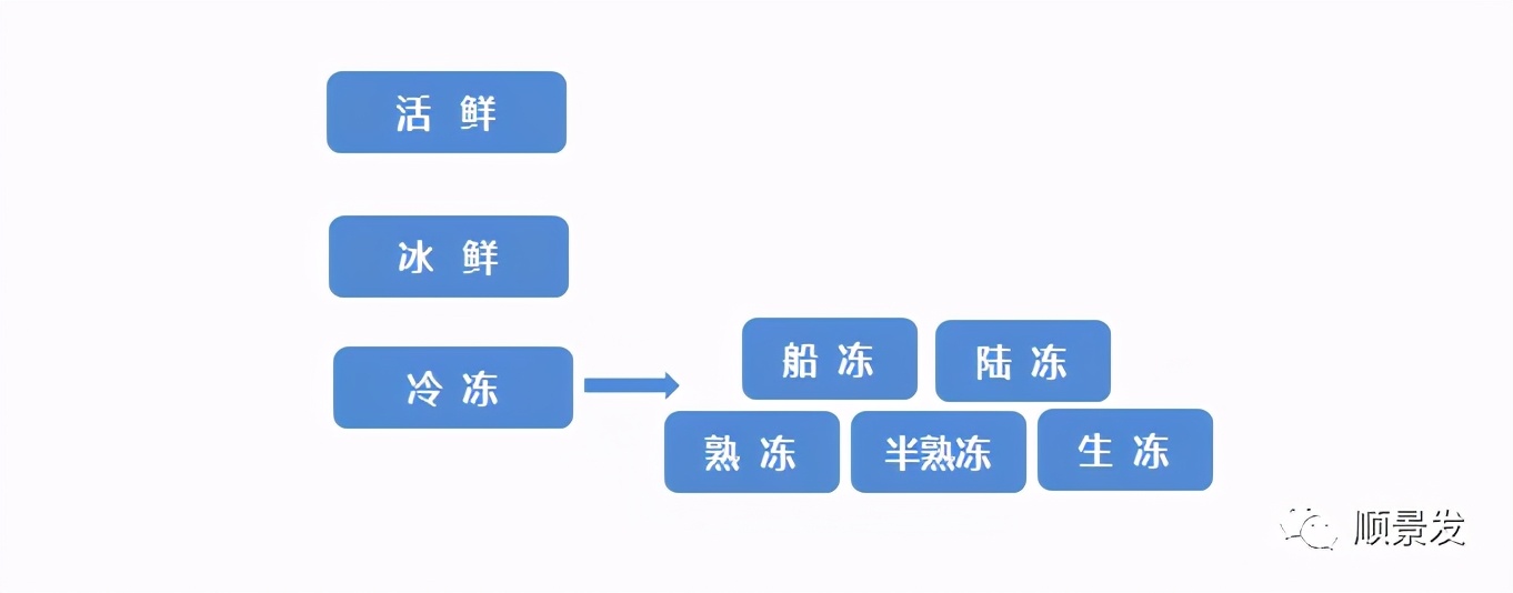 海鲜陆冻和船冻,冷冻海鲜进口知识大全