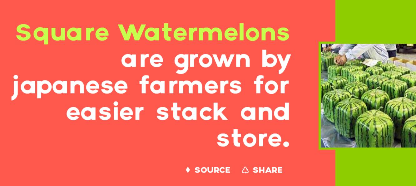 日本最奇葩的4件事,你不知道的日本十大奇葩事