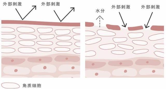 我国最“憋屈”洁面乳，明明有“香奈儿”的实力，却常被误是街货