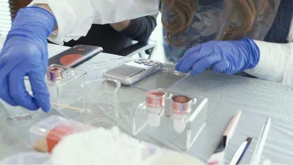 秋葵色口红,专属口红定制