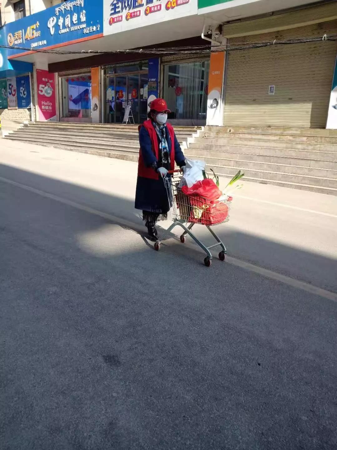 甘南全力战疫情,甘南卓尼防控疫情图片