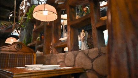 菜价“配不上”环境！秦皇岛冒出了一家“魔法餐厅”