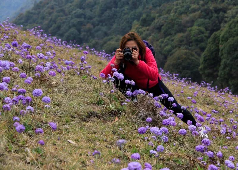 腾冲高山草甸景点,腾冲高原草场