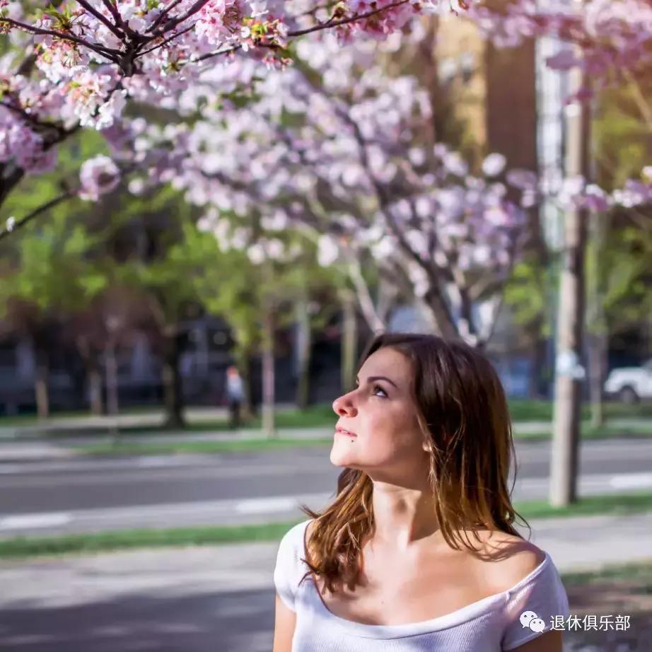 春暖花开赏玉兰,春暖花开我们依旧自由赏樱