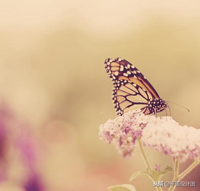 ps人物调色教程全过程,ps怎么给视频调色教程