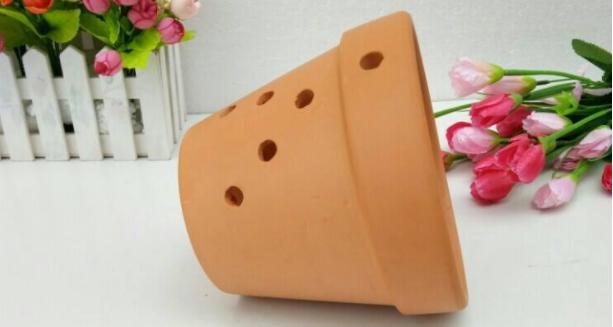 如何为你的植物选择合适的花盆,怎么选择合适的花盆口径