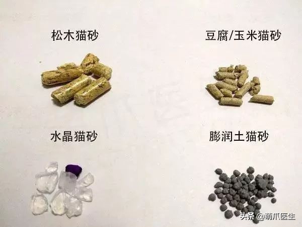 猫砂算垃圾分类的哪一种,猫砂垃圾分类怎么处理