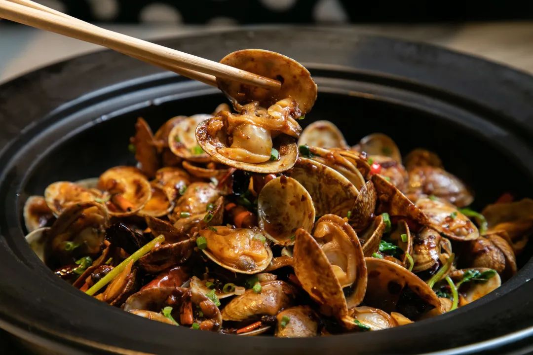 蛤蜊蚶子蛏子区别,蛏子海螺牡蛎蛤蜊