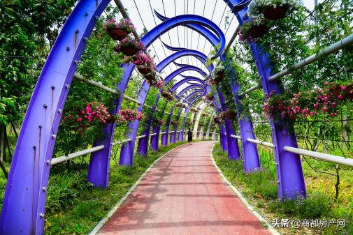 郑州野生动物园开园,郑州长隆动物园