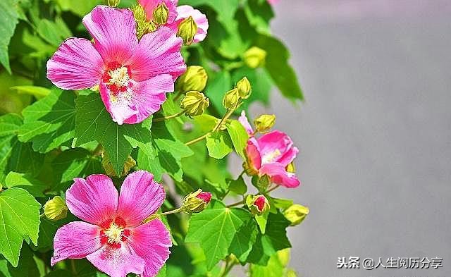 人生格言经典短句励志正能量,正能量人生格言励志短句大全