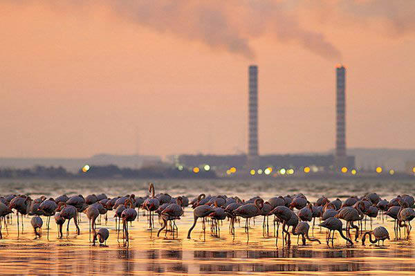 雾霾天拍摄教程,防治空气污染的方法