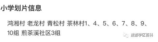 天府新区第四小学,元音小学天府新区