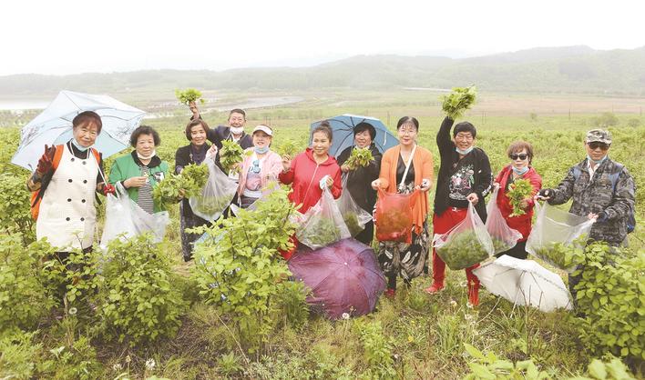 200小时销售3.6万余斤刺五加！助农，抚顺一直在行动