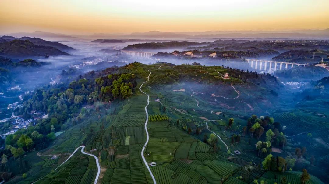 雅安这几天发生的车祸,这就是雅安原版