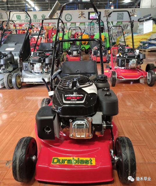 北方苗木草坪应对雨季的养护要点