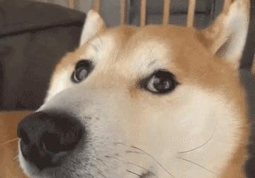 福州出台新规事关所有买房人,福州最新惠民政策