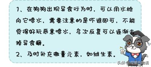 狗狗乱吃东西卡嗓子怎么办,狗狗吃了玻璃珠怎么办
