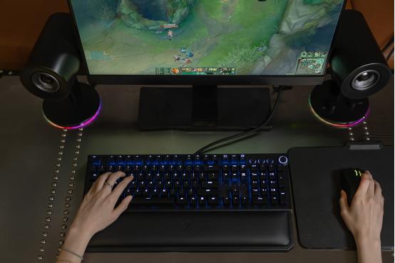 雷蛇鼠标曼巴精神,雷蛇霸气